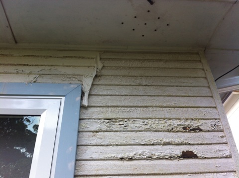 Damanged weatherboards and how to tell if your North Shore home has rising damp with Summit Coatings