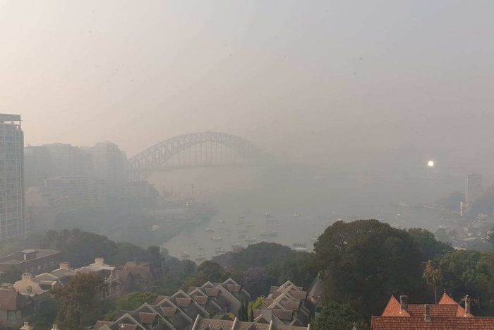 How to remove ash from your house: advice from North Shore Painters
